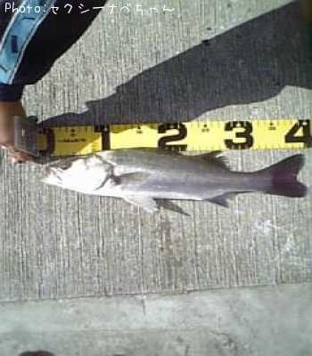 �����Х�