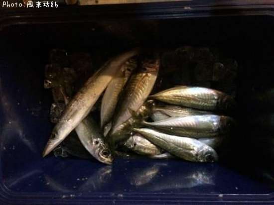 ���������ޥ�