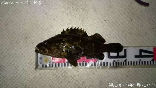 �����Υ���Х�