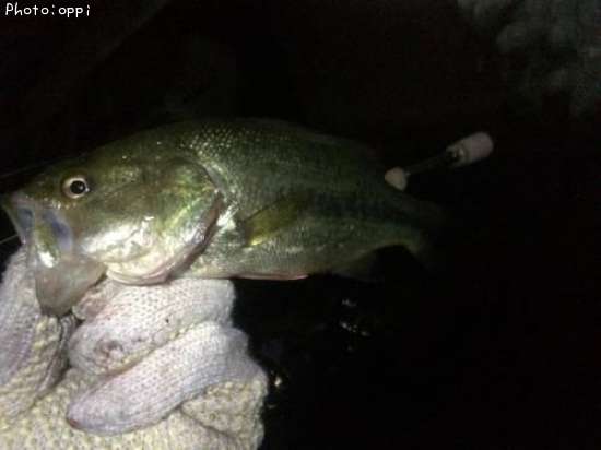 �֥�å��Х�