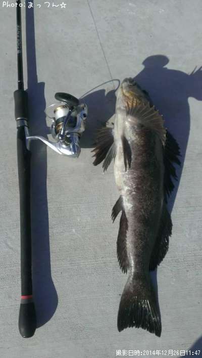 �����ʥ�