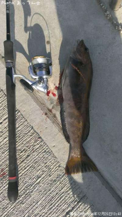 �����ʥ�