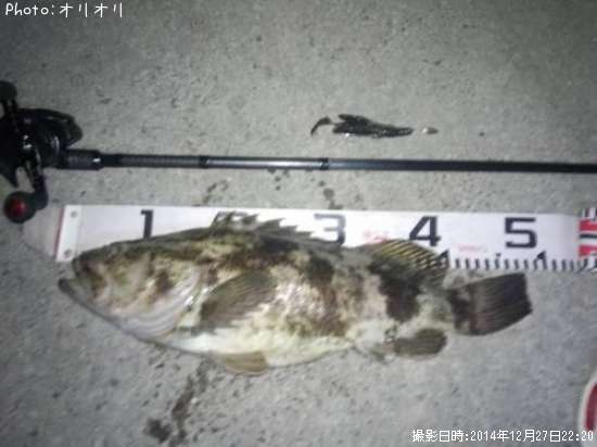 �٥å�������