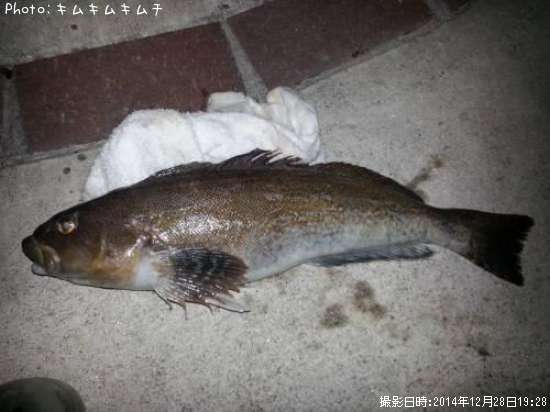 �����ʥ�