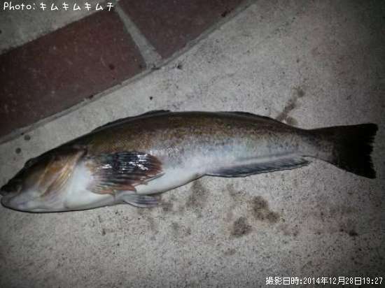 �����ʥ�