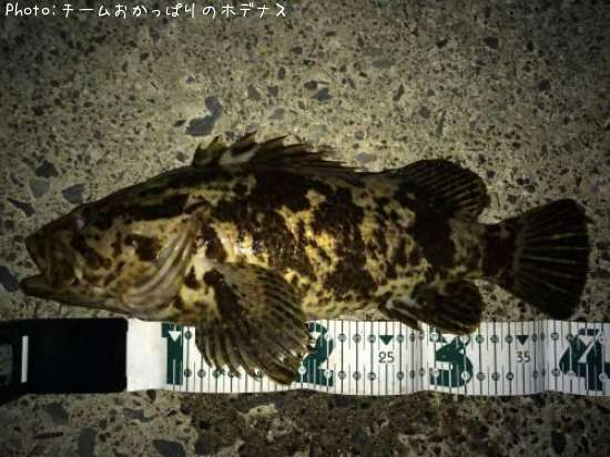 �����Υ���Х�