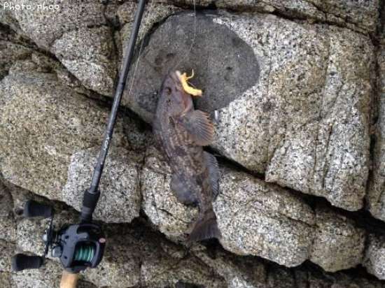 �����ʥ�