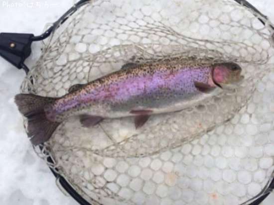 ���å��ȥ饦��