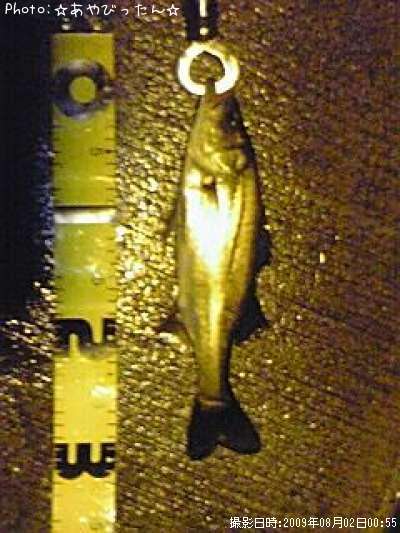 �����Х�