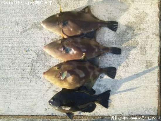 ���ޥť�ϥ�