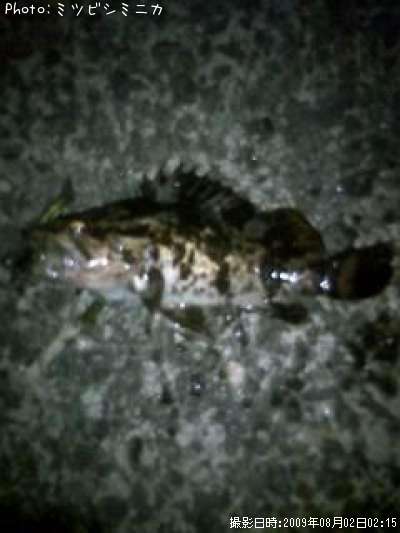 �����Υ���Х�