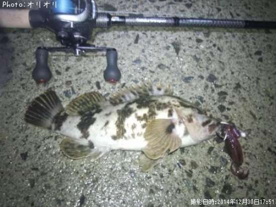 �٥å�������