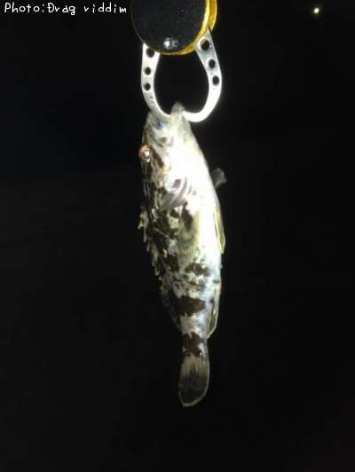 �����Υ���Х�