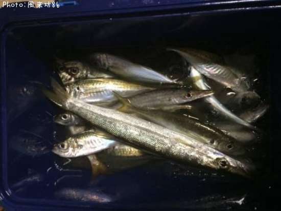 ���ޥ�������