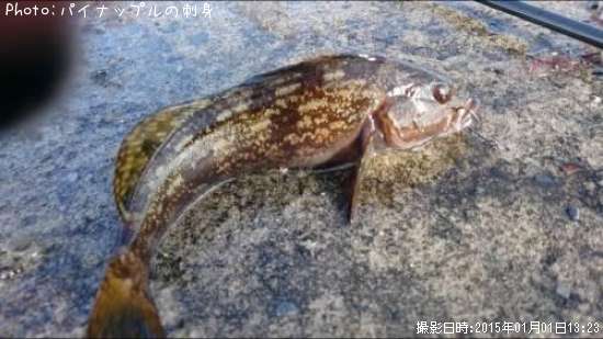 �����ʥ�