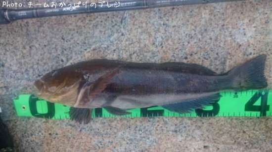 �����ʥ�