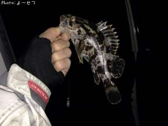 �����Υ���Х�