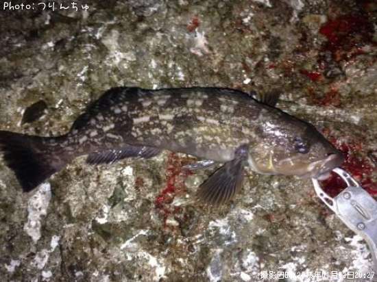 �����ʥ�