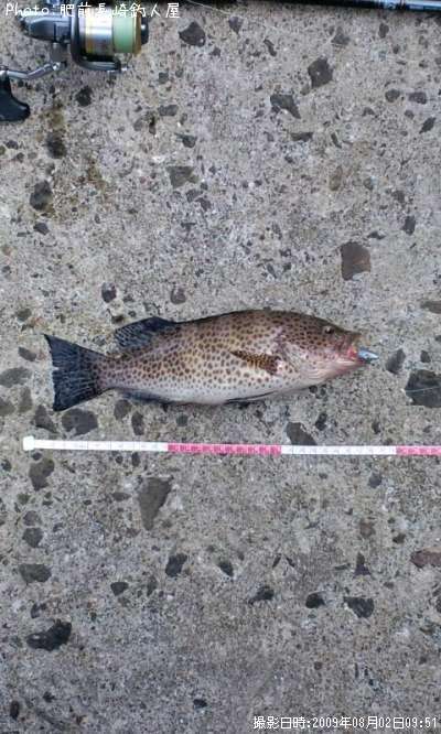 �����ϥ�