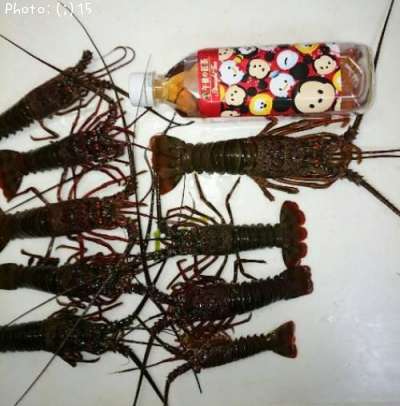 ������ȥ���