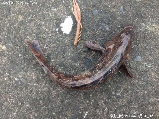 �����ʥ�