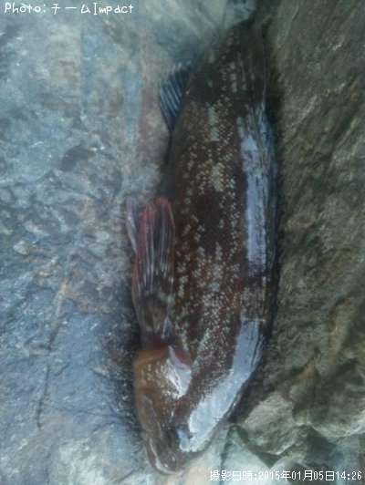 �����ʥ�