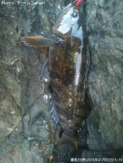 �����ʥ�