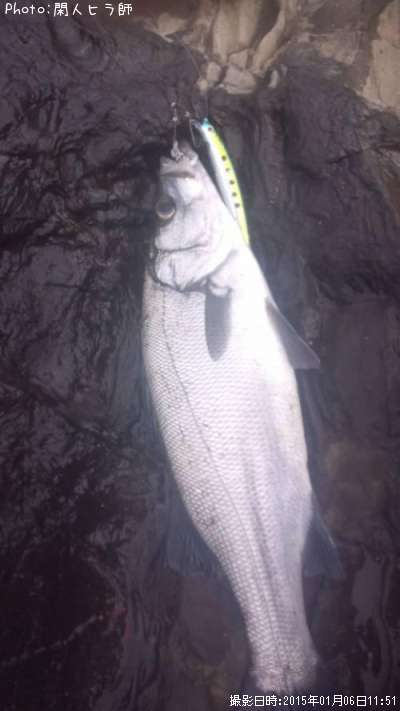 �ҥ饹����