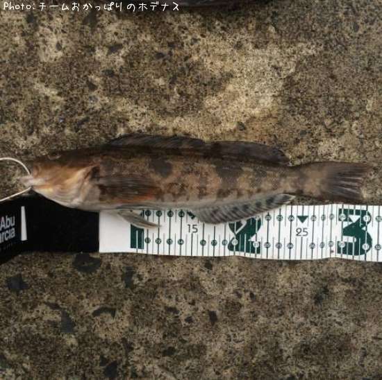 �����ʥ�