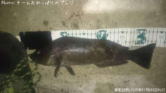 �����ʥ�