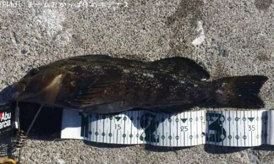 �����ʥ�