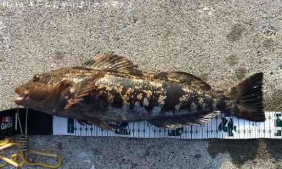 �����ʥ�