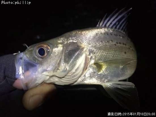 �����Х�