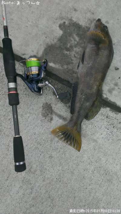 �����ʥ�