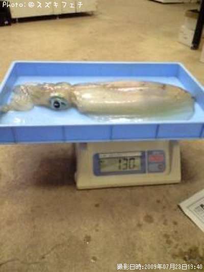 �����ꥤ��