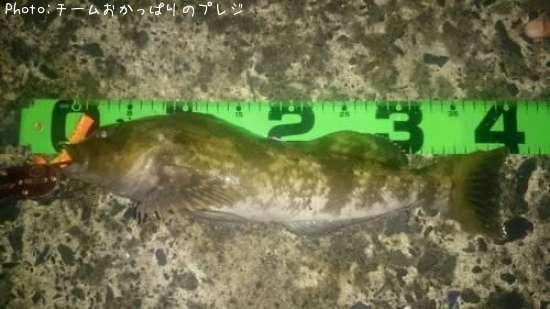 �����ʥ�