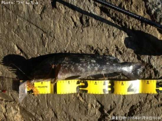 �����ʥ�