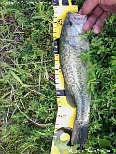 �֥�å��Х�