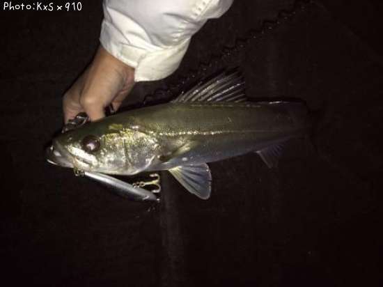 �����Х�