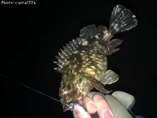 �����Υ���Х�