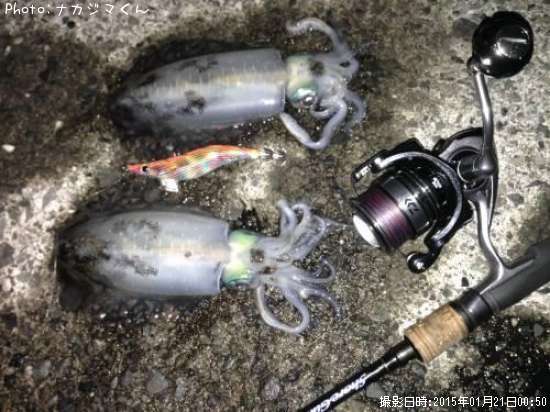 �����ꥤ��