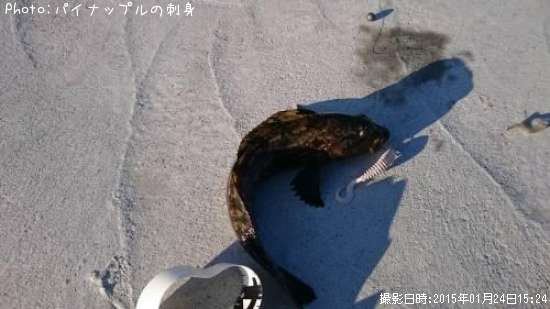 �����ʥ�