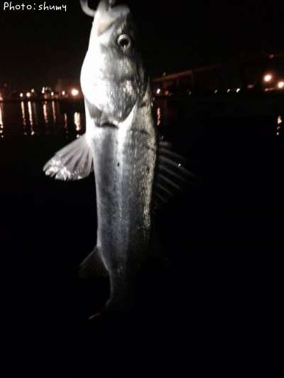 �����Х�