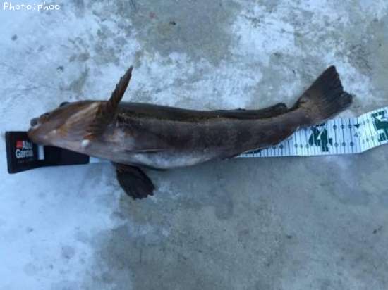 �����ʥ�