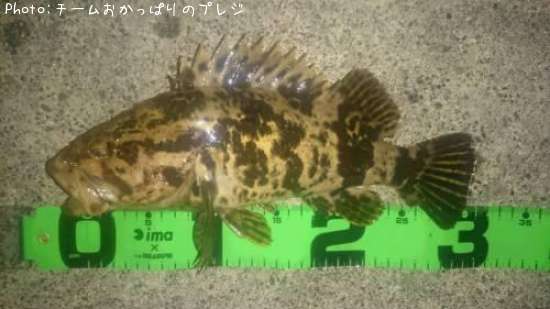 �����Υ���Х�