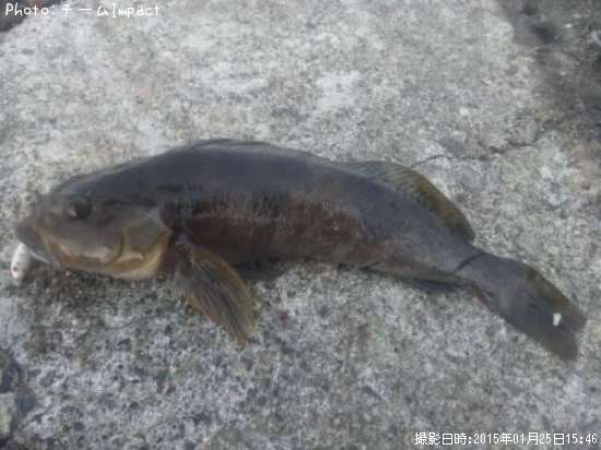 �����ʥ�