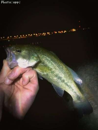 �֥�å��Х�