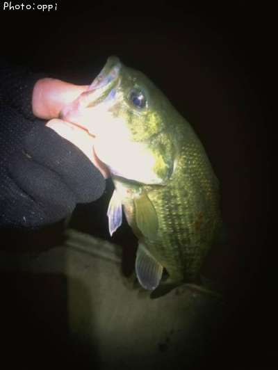 �֥�å��Х�