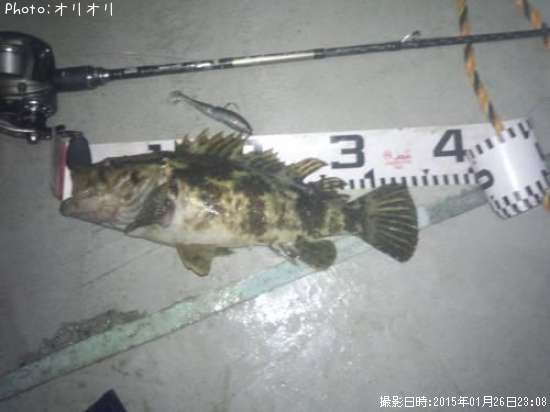 �٥å�������