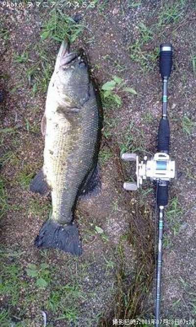 �֥�å��Х�